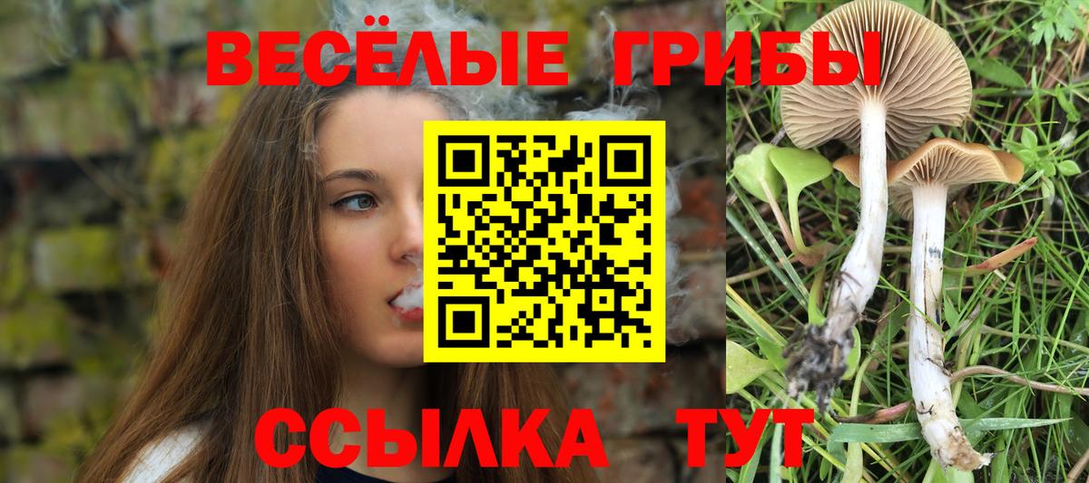 Псилоцибиновые грибы GOLDEN TEACHER  Галлюциногенные грибы GOLDEN TEACHER  Батайск  Вход с VPN 