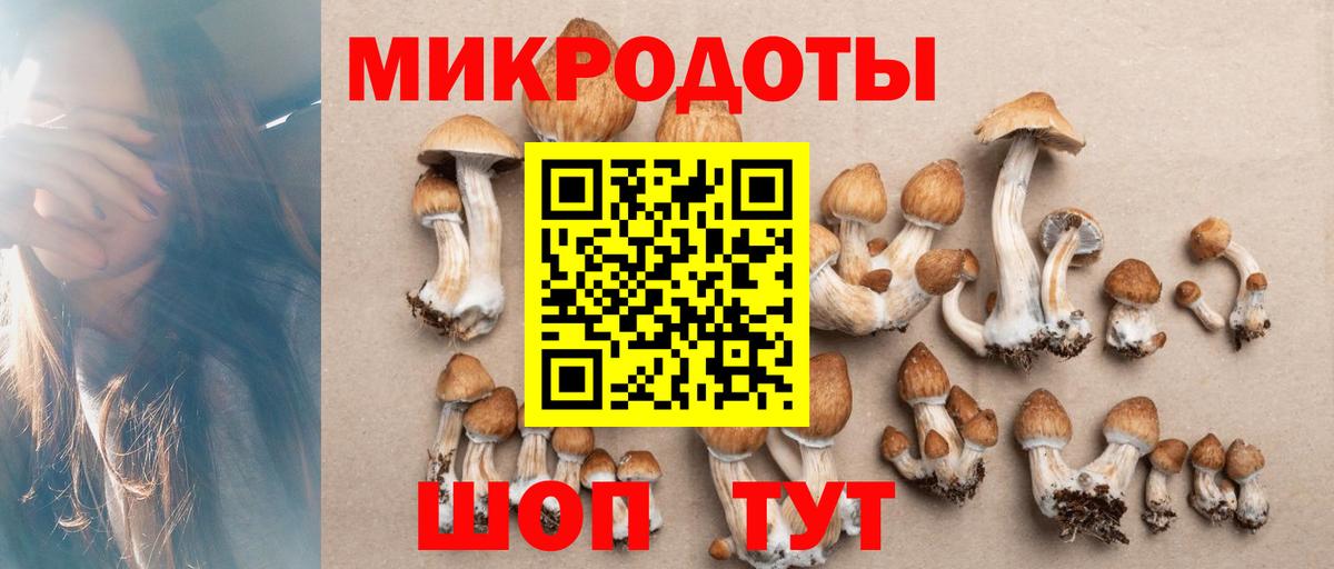 Галлюциногенные грибы Magic Shrooms Батайск